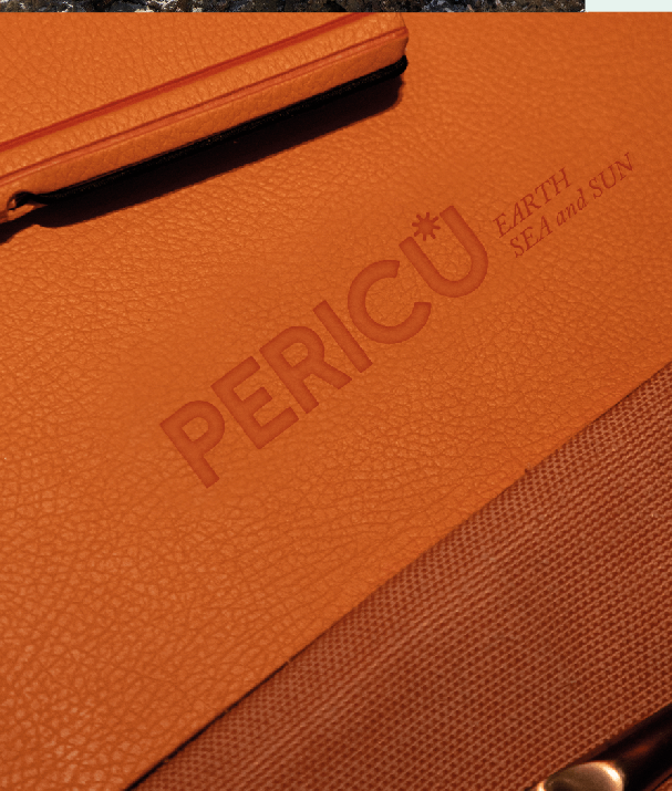 Pericú